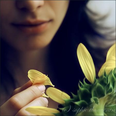 ~~~ Les fleurs du bonheur ~~~