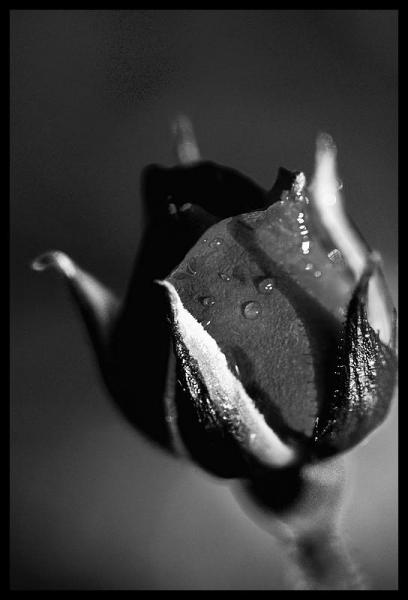 ~..Lorsque des vies basculent juste devant vos yeux..~